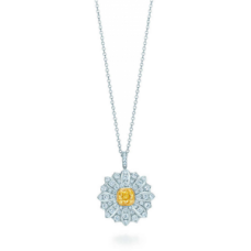 Tiffany Co. Schlumberger Gänseblümchen-Halskette